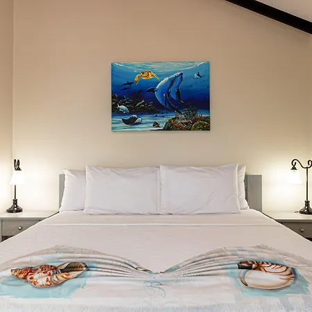 Casa Nova Cabanas