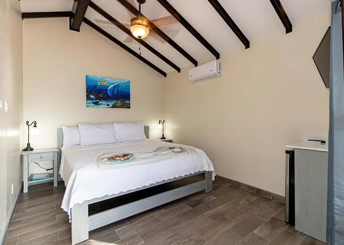 Casa Nova